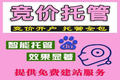 SEM外包在金融行业的应用案例分析
